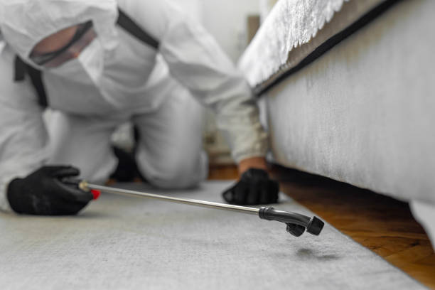 Professional Pest Control technician working in Smithers, WV