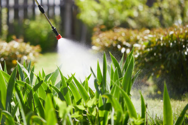 24/7 Emergency Fumigation Services experts in Smithers, WV