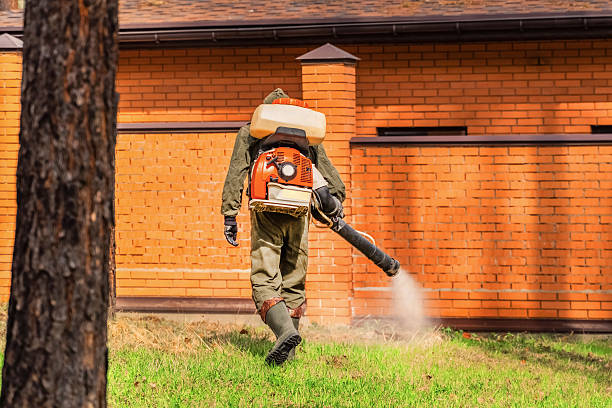 Trusted Cockroach Control service in Smithers, WV - Nex Pest Control